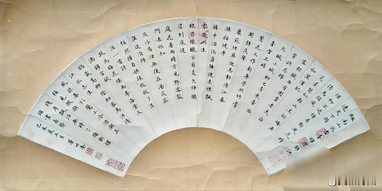 赏石 品佳作
