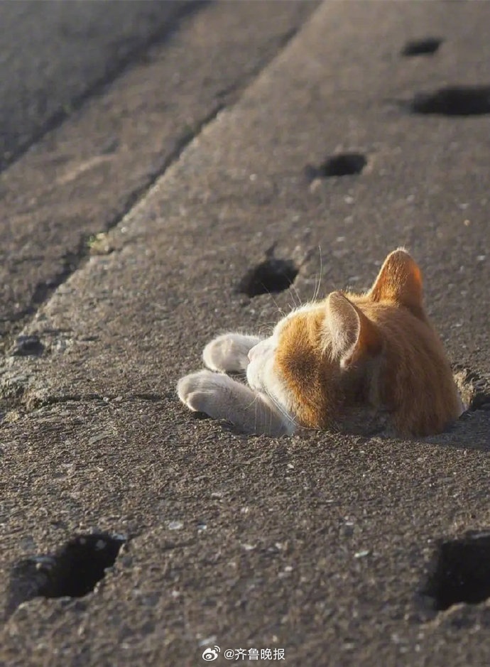 #早安# 努力经营当下，直至未来明朗