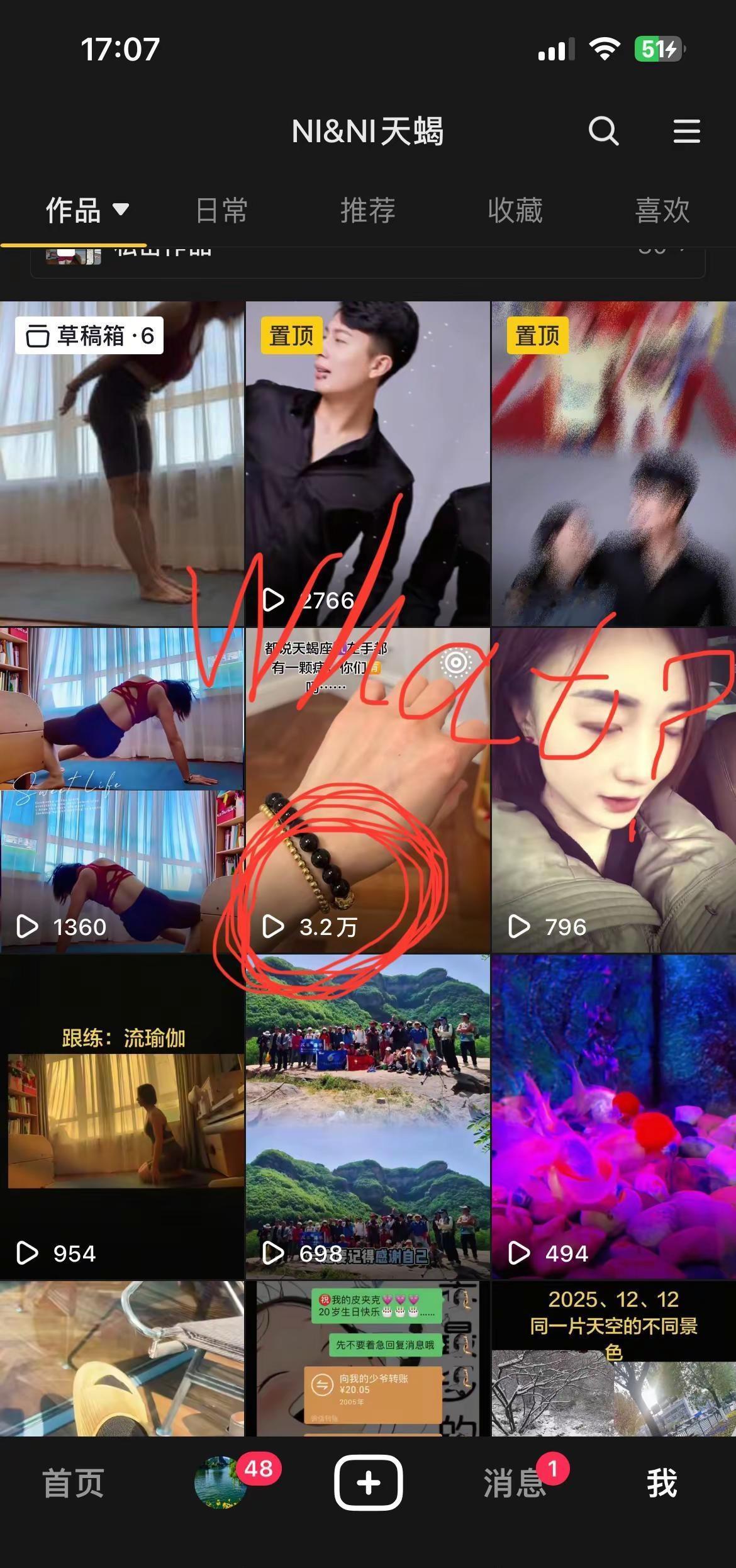 一个即兴跟拍的视频这么多浏览量