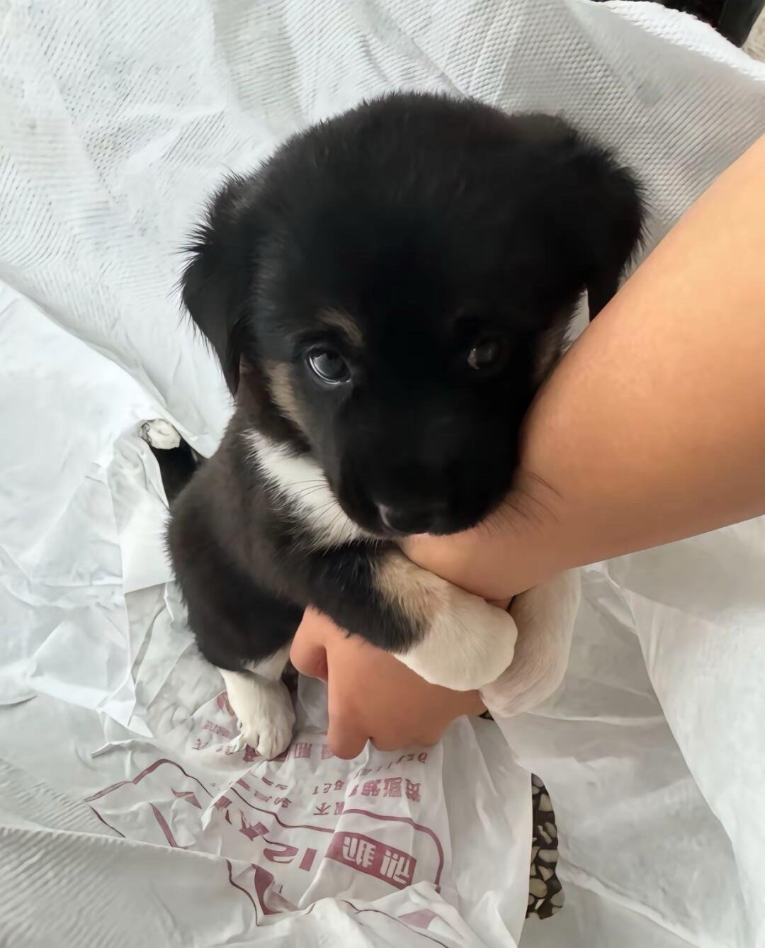 你愿意做我的麻麻吗 