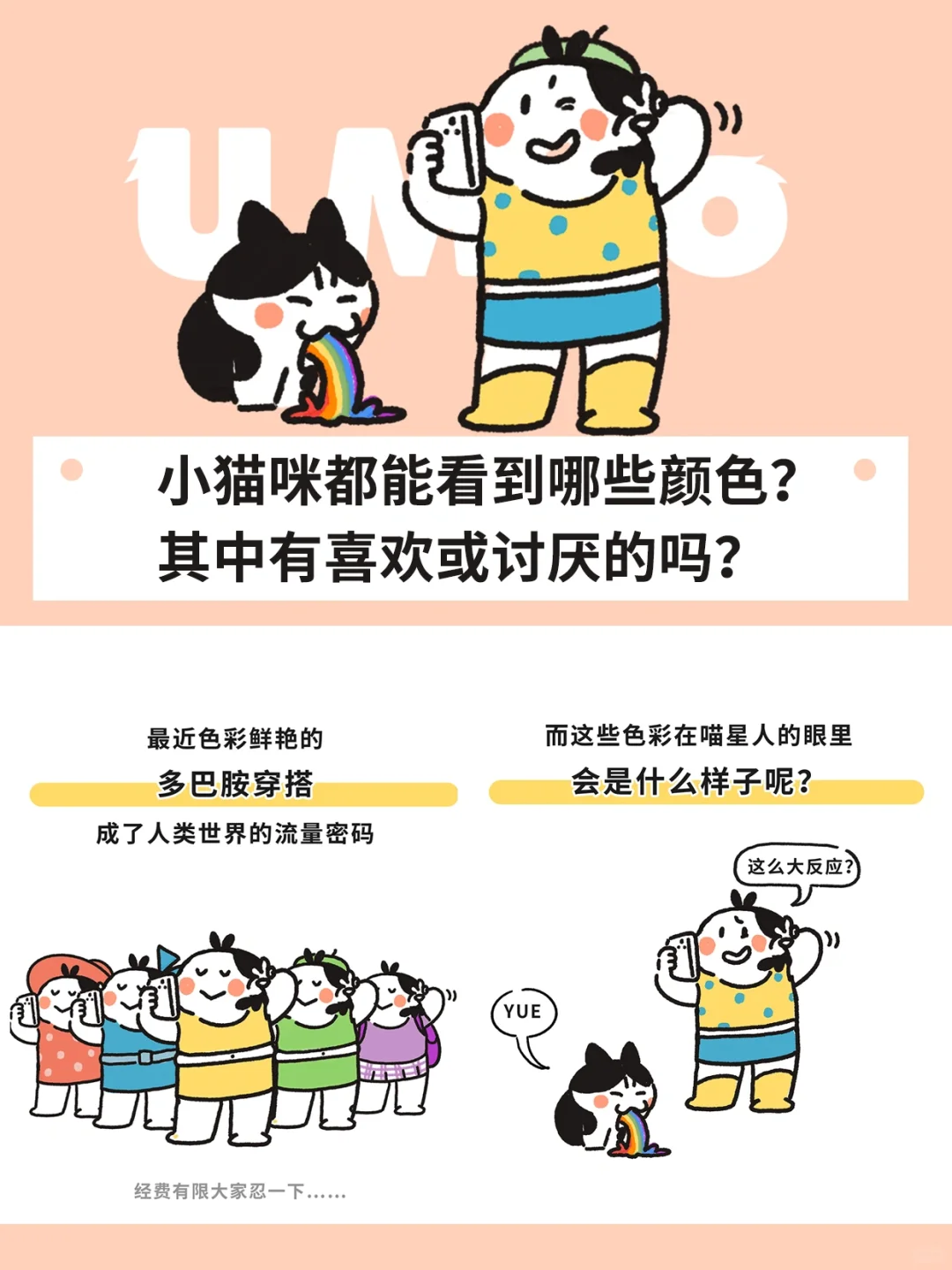 小猫咪到底能看到哪些颜色？喜欢或讨厌哪个