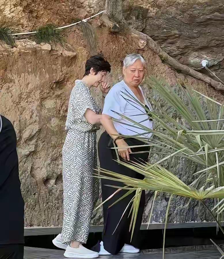 洪金宝
高丽虹
夫妻照