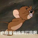 孙花爱谈历史