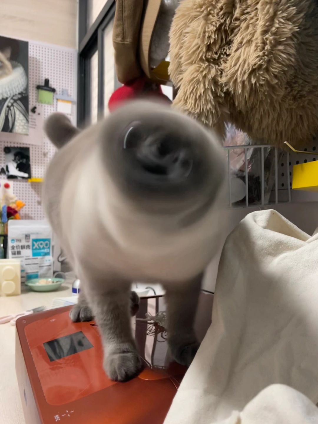 你以为高速运转的机器进入中国