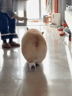 我的体重已经禁不起任何扰动了