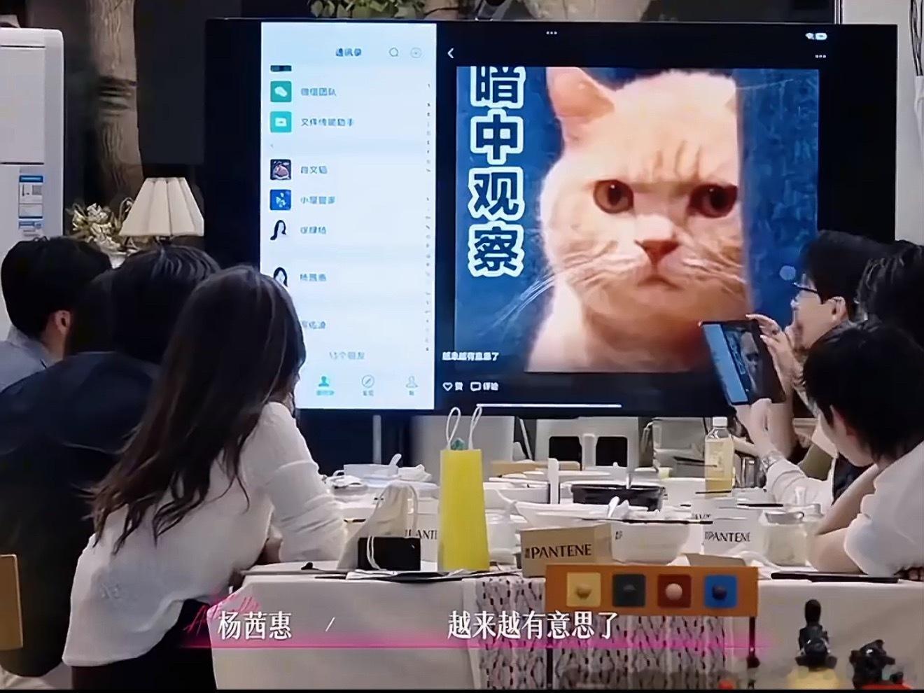 柳柳公开处刑周佑凌朋友圈建议给周佑凌颁个“小屋醋王”奖杯！凌李政刚入住第二天，他