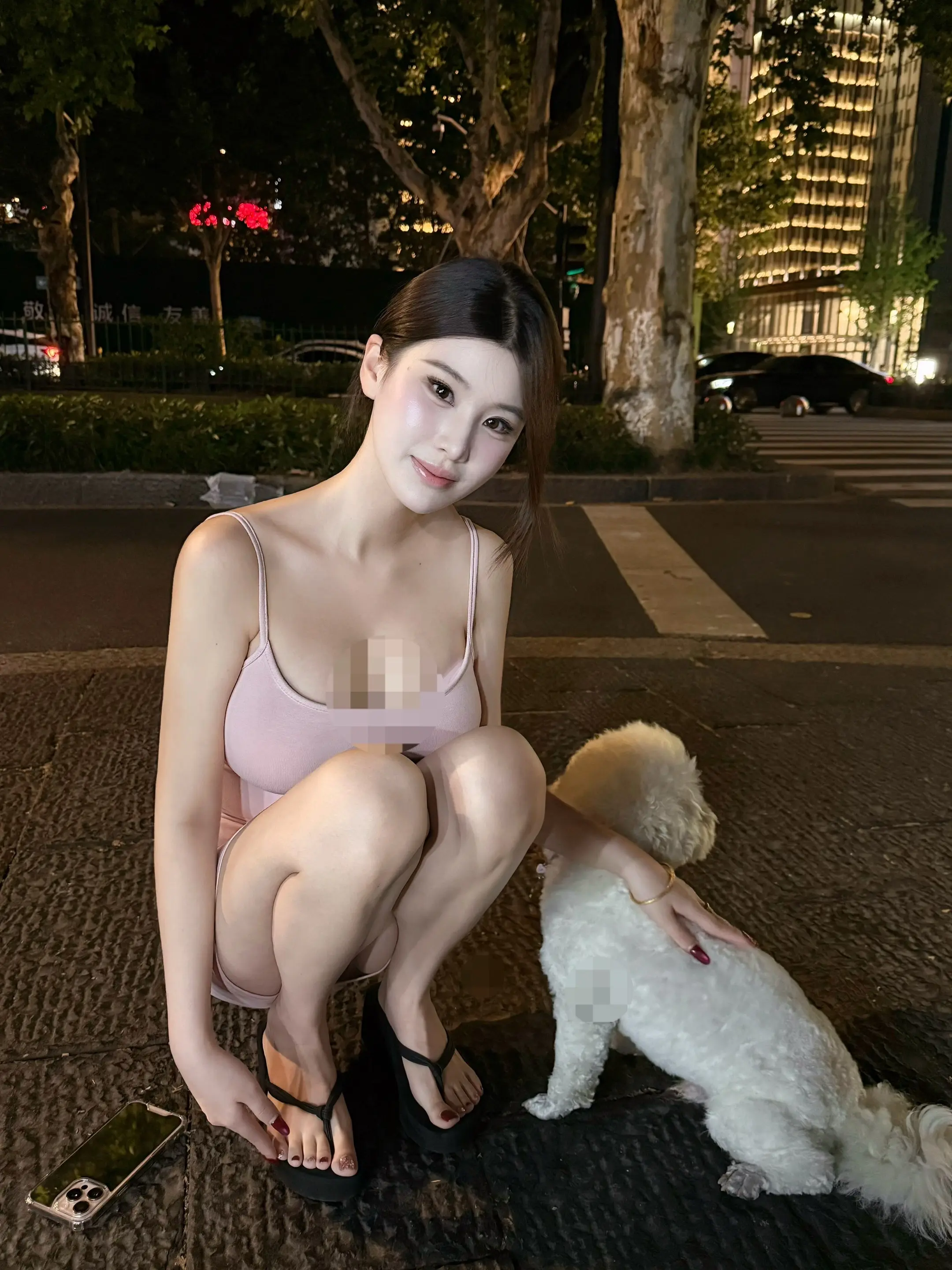 遇到一只乖乖的小比熊