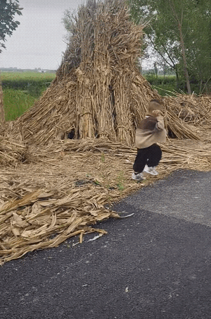 姐姐这样教训就对了 不能拿这么大的石头砸人![赞]
