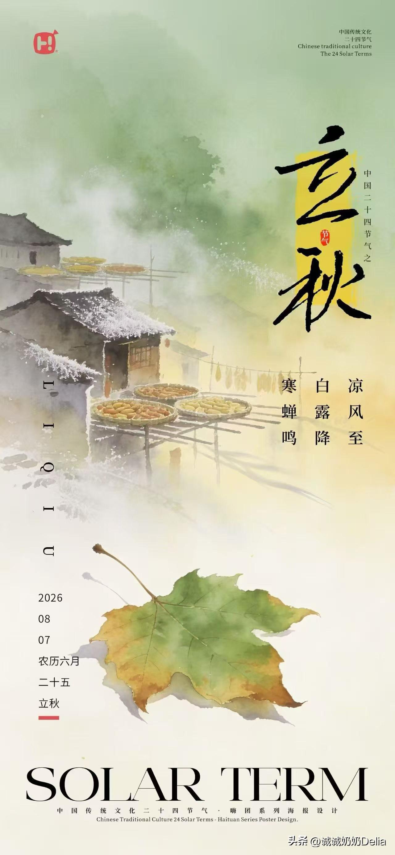今日立秋，老话讲究“啃秋”，高温依旧，更得吃西瓜了。
老伴买回一只12斤的大西瓜