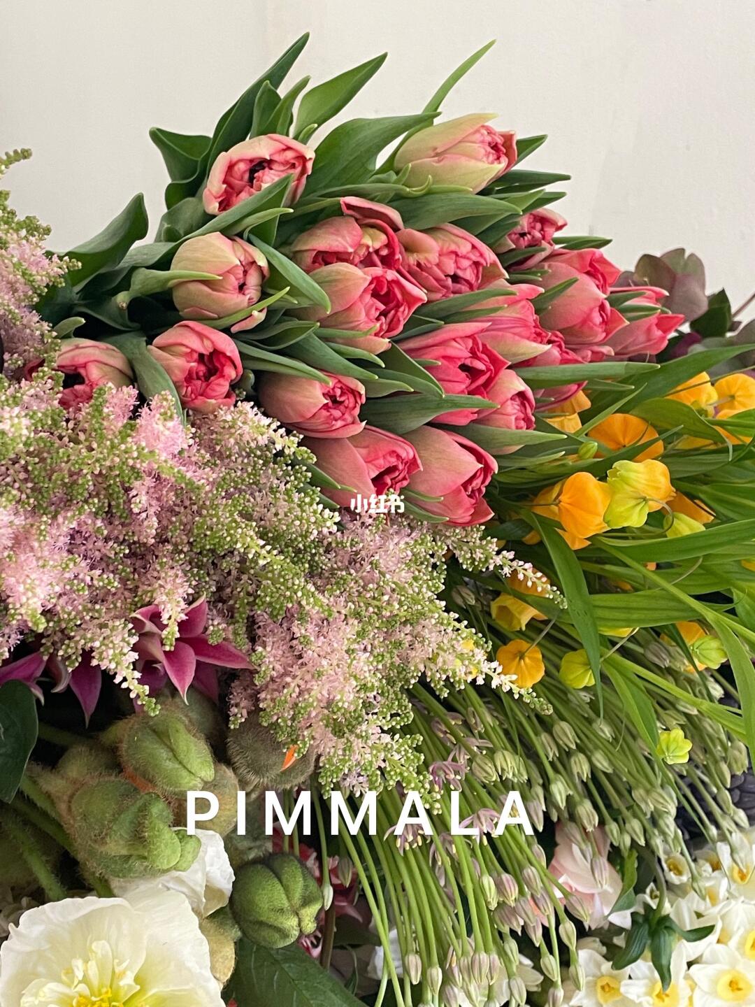 PIMMALA｜这阵子花的风好大