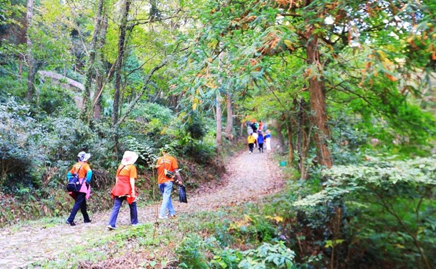 满目秋景！宁波登山步道最新推荐，象山这条你走过么→
相思岭古道位于象山大徐镇，是