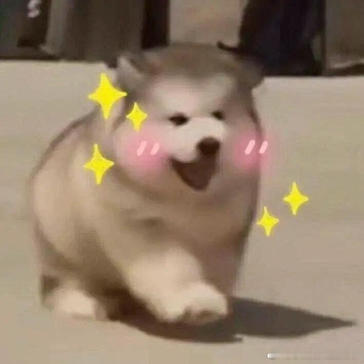 #40度外滩好像有1亿人citywalk#妈呀不敢想这么热的天气外滩还有这么多人