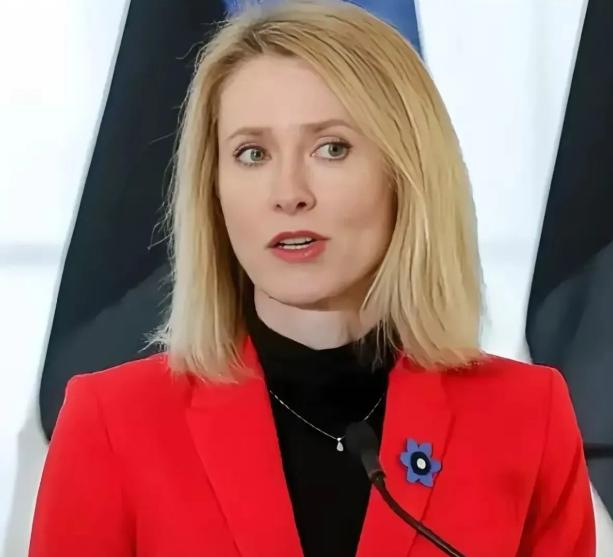 “战争就像谈恋爱，一旦陷入很难抽身”
欧盟外长卡拉斯，又出金句，她指责特朗普时说