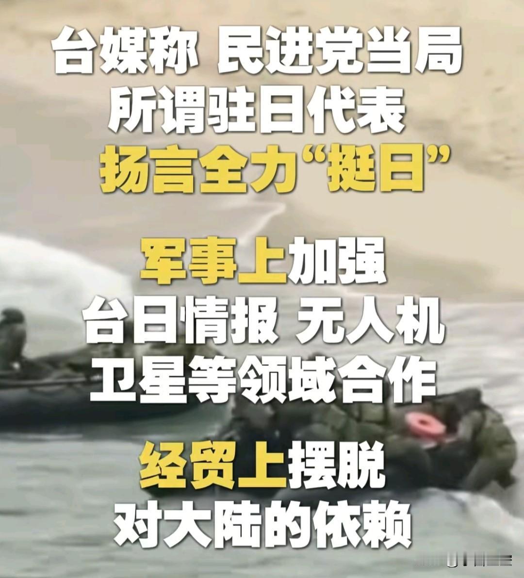 全力挺日？看民进党还能蹦哒多久。
经贸上摆脱对大陆的依赖？全面依靠日本吗？好像日