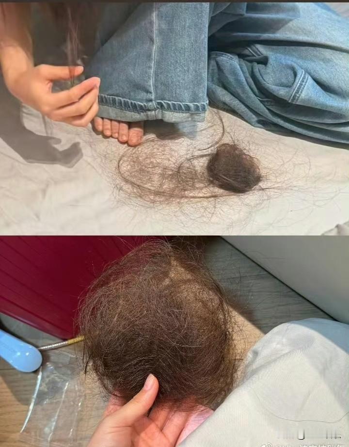 韩安冉和前男友纠纷不断，无辜家人遭殃，你怎么看？