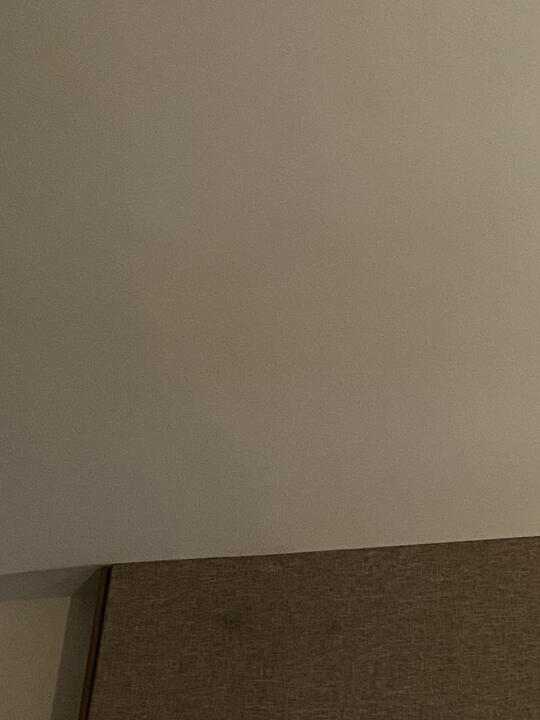 开心的一天