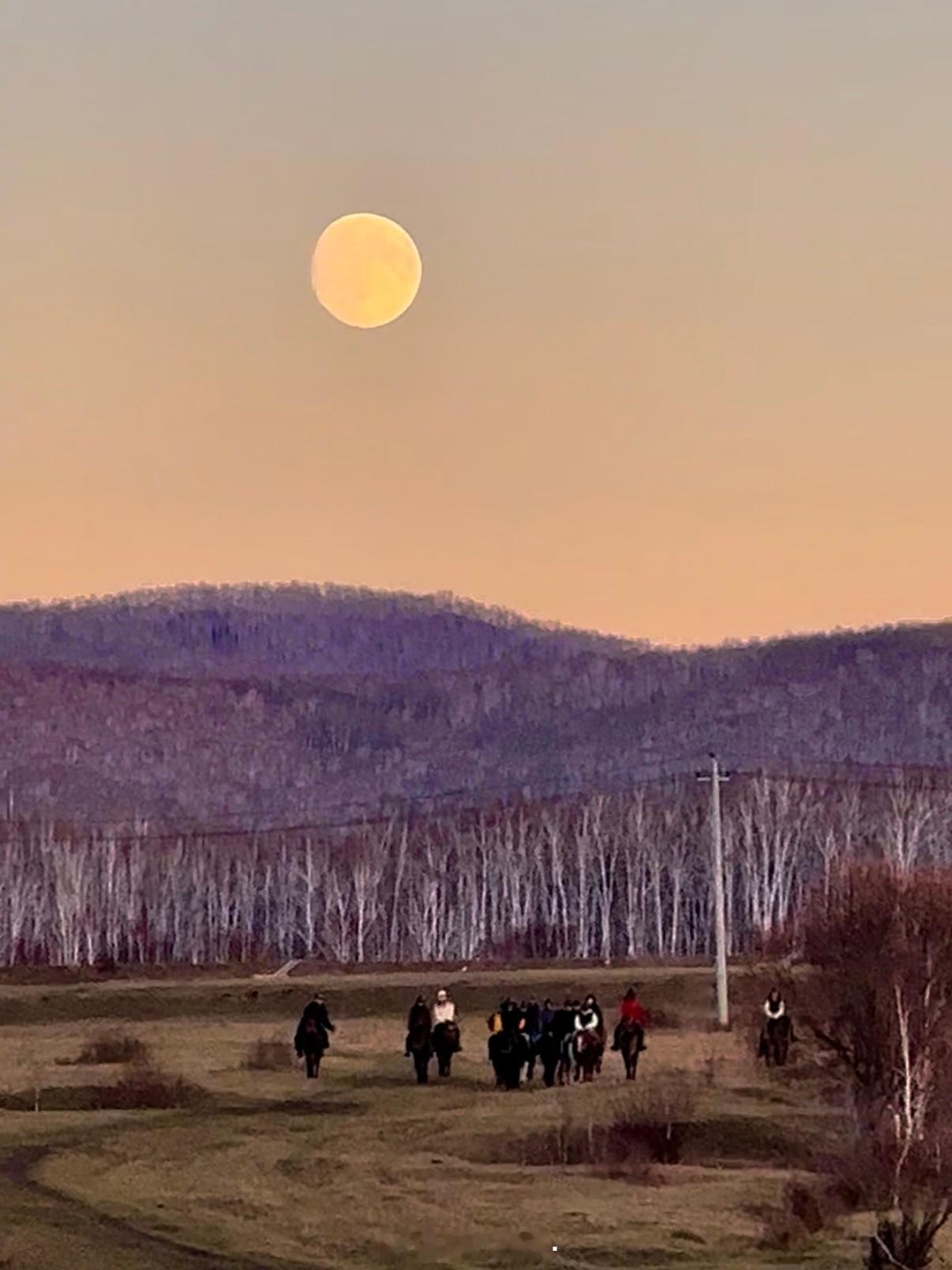 蒙古草原，天气晴。 ​​​