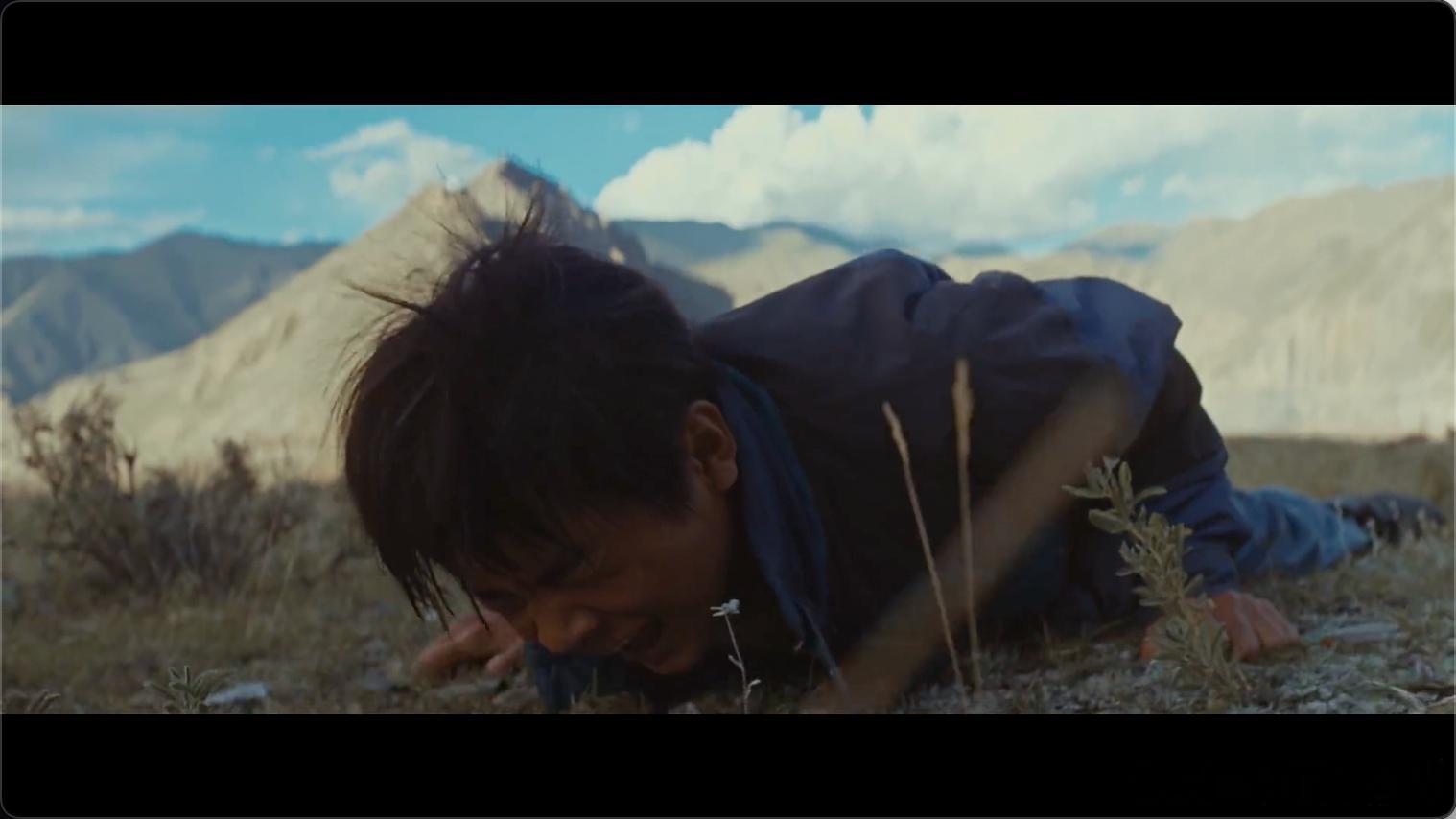 1集散了2集死了3集爆了 《生命树》完全打破了题材的局限，剧情节奏快、冲突强、人