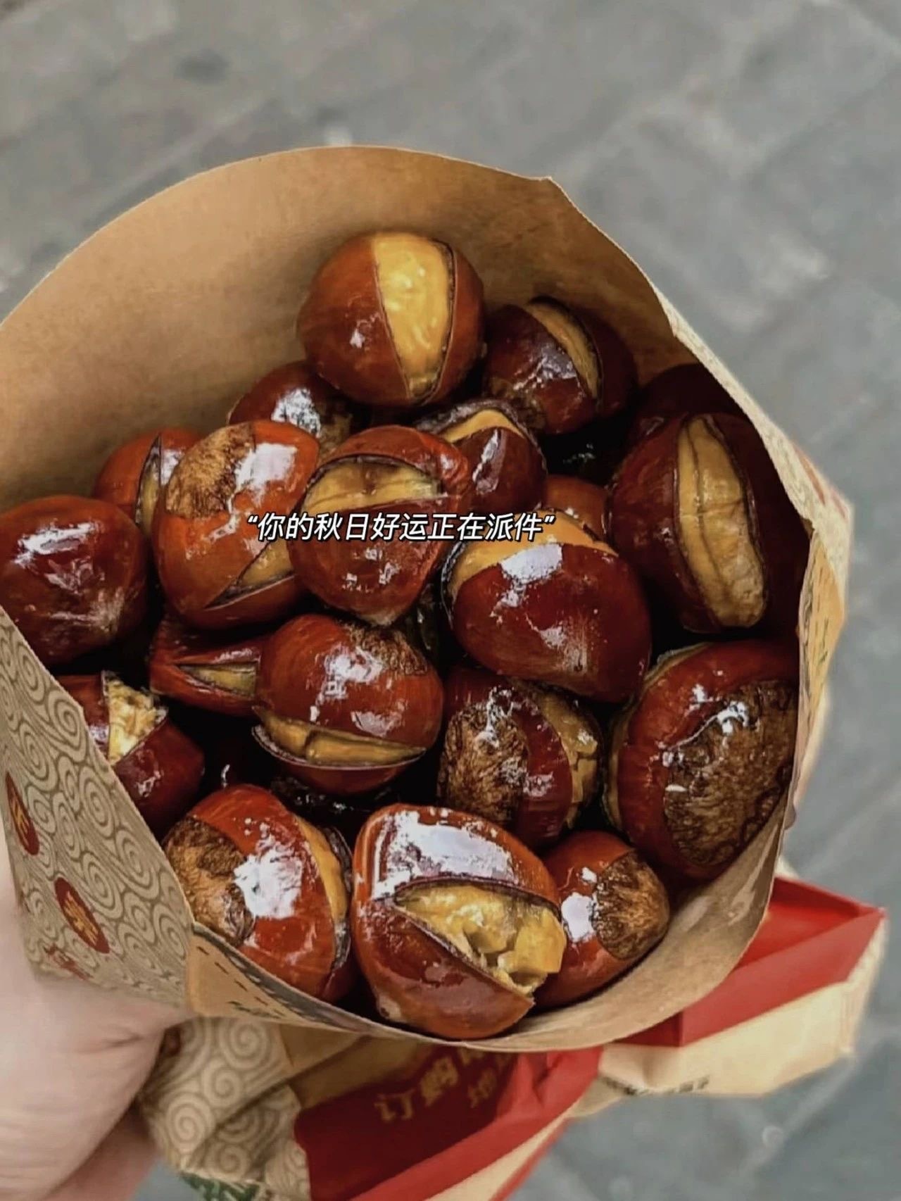 🌰⸝⸝ ⸝⸝ 𝙣𝙚𝙬 𝙨𝙩𝙤𝙧𝙮📝或许新的故事，会在秋天糖炒