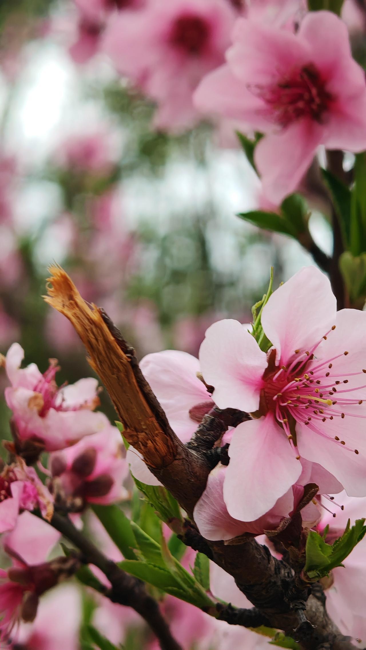 绩效管理能带给企业怎样的效益?如何构建单元式的敏捷组织：

1. 模块化生产单元