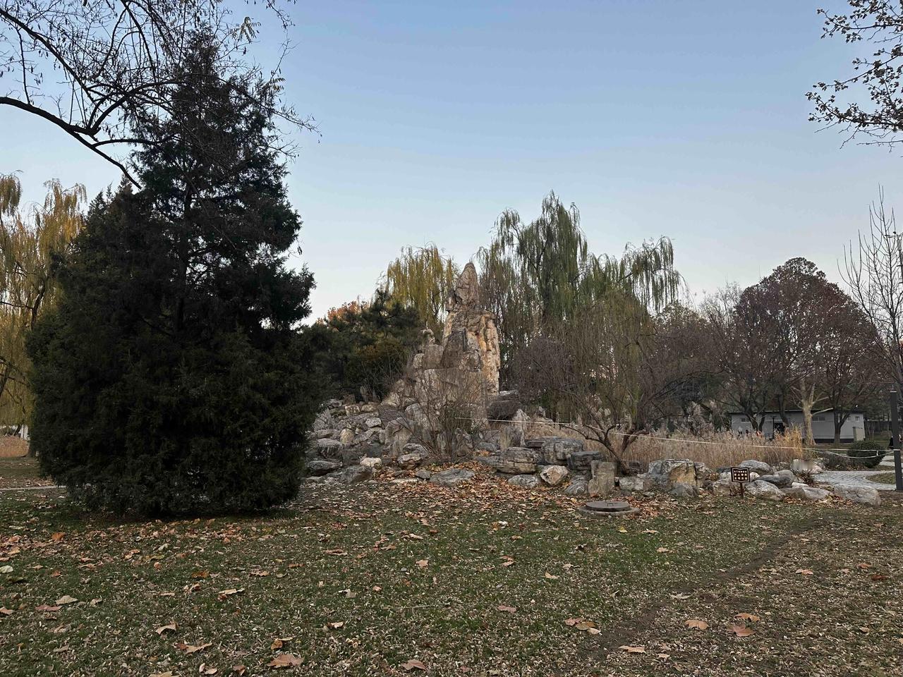 晒图笔记大赛公园一景