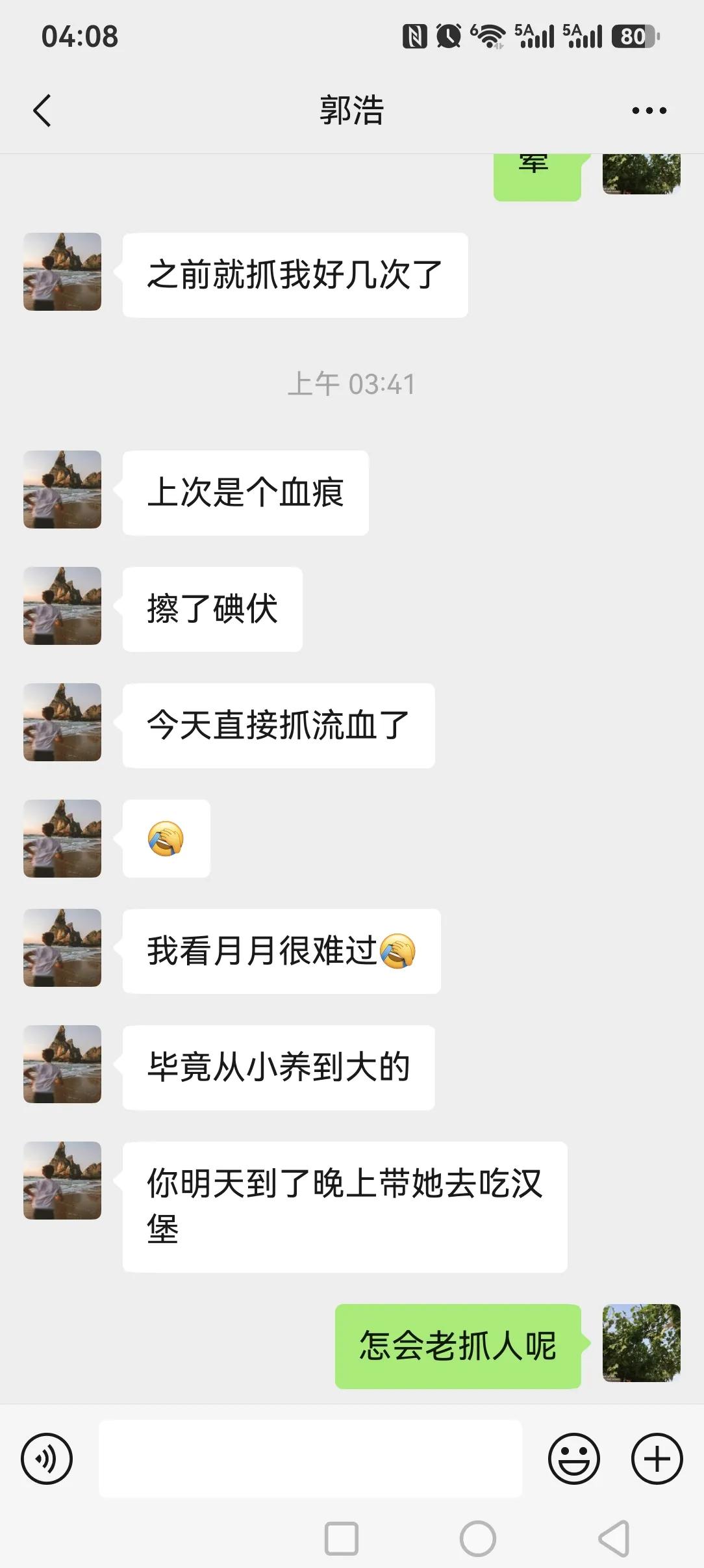 昨天晚上也没睡好，夜里十二点睡的，一点多侄子发过来几条信息把我给吵醒了，打开手机