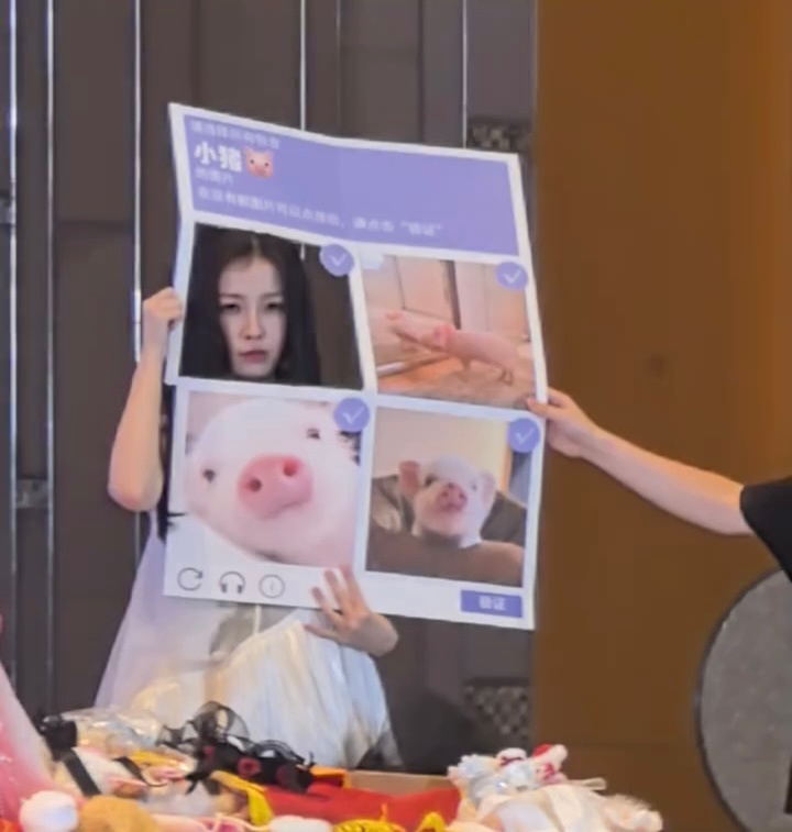 我不行了、、、猪塑你赢了 