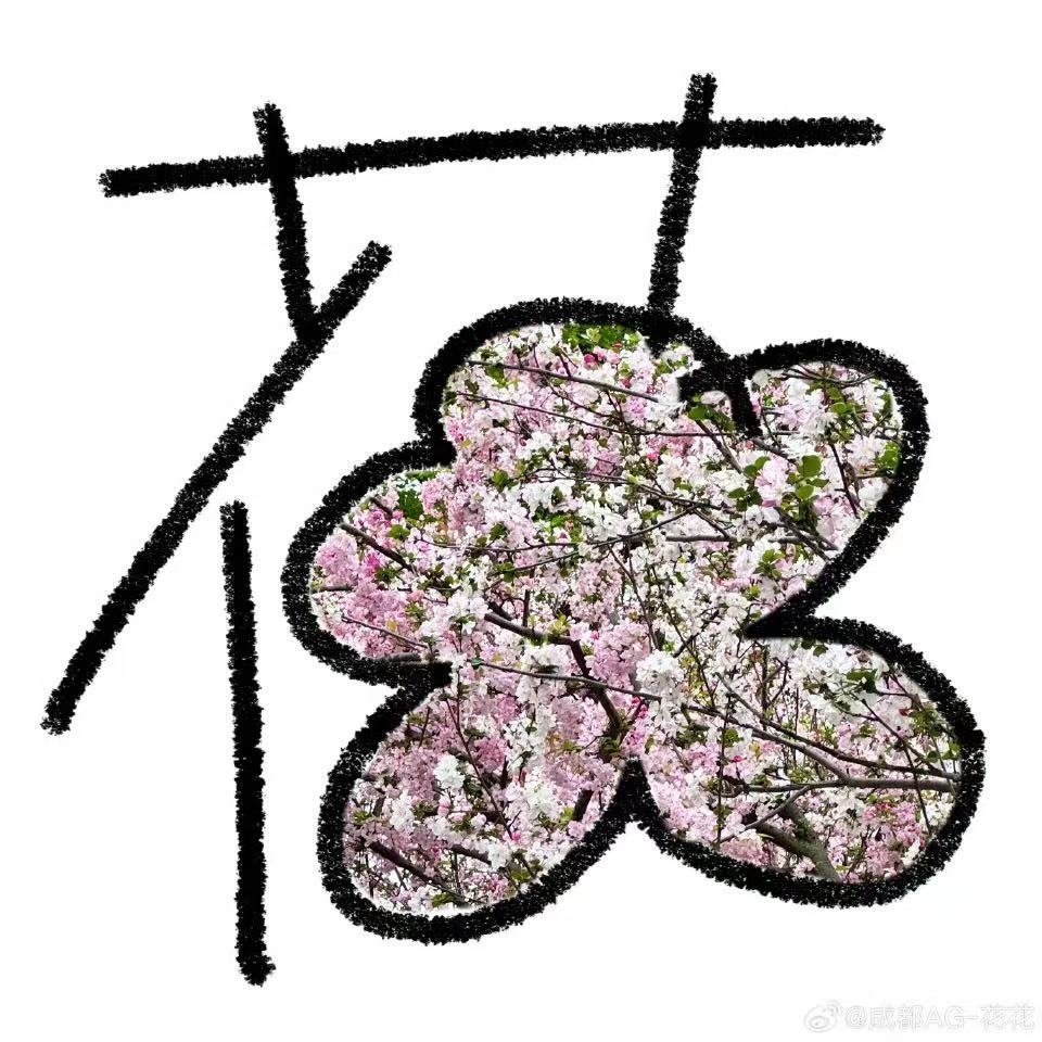 花花花式晒花花 花式赏美好，温柔赴春光 