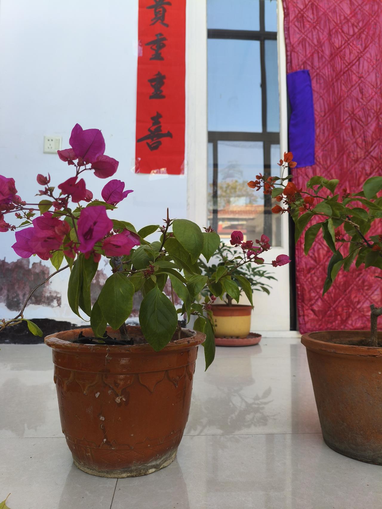 我新发布的内容被官方推荐啦！👍你也快来发布一条吧！带记录真实生活话题，更容易被