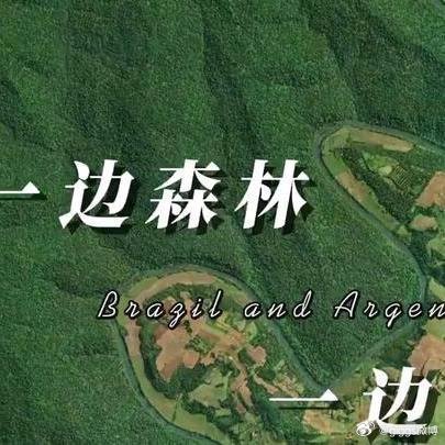《巴西和阿根廷界河两边差异巨大》巴西和阿根廷界河两边差异巨大网页链接