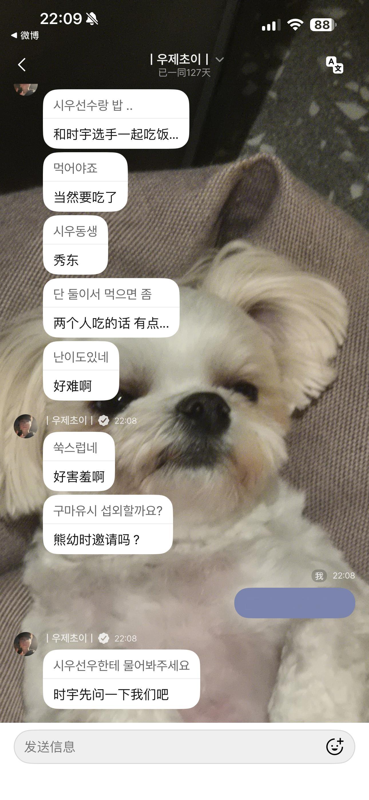 天使鱼你女神害羞了