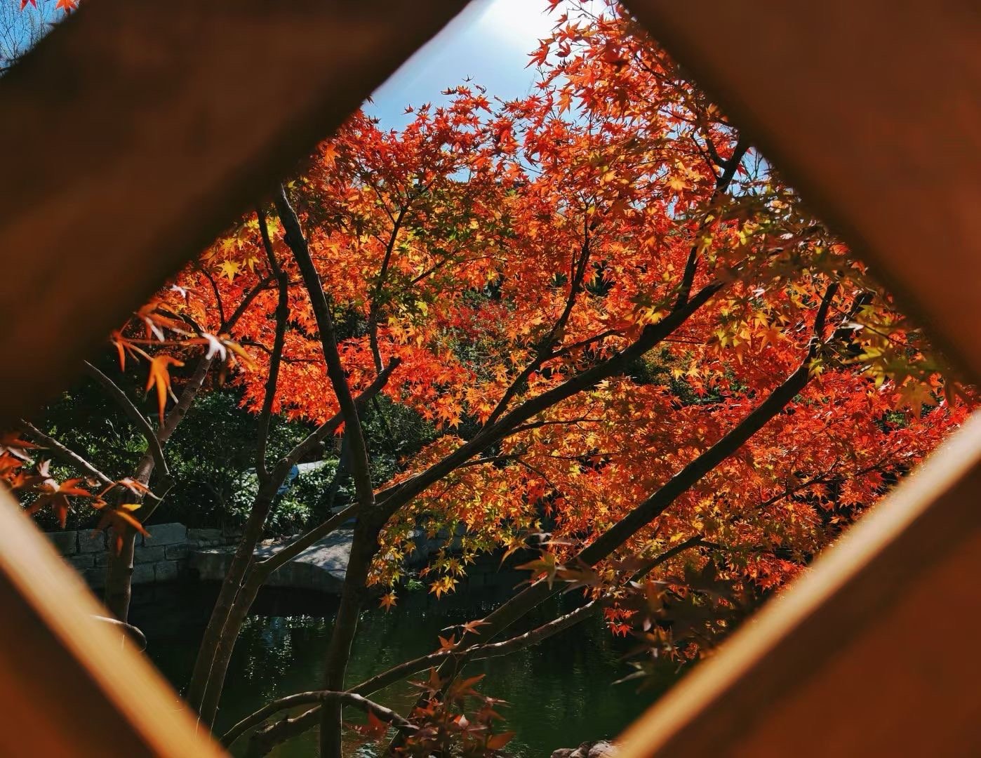 我拍的📷 