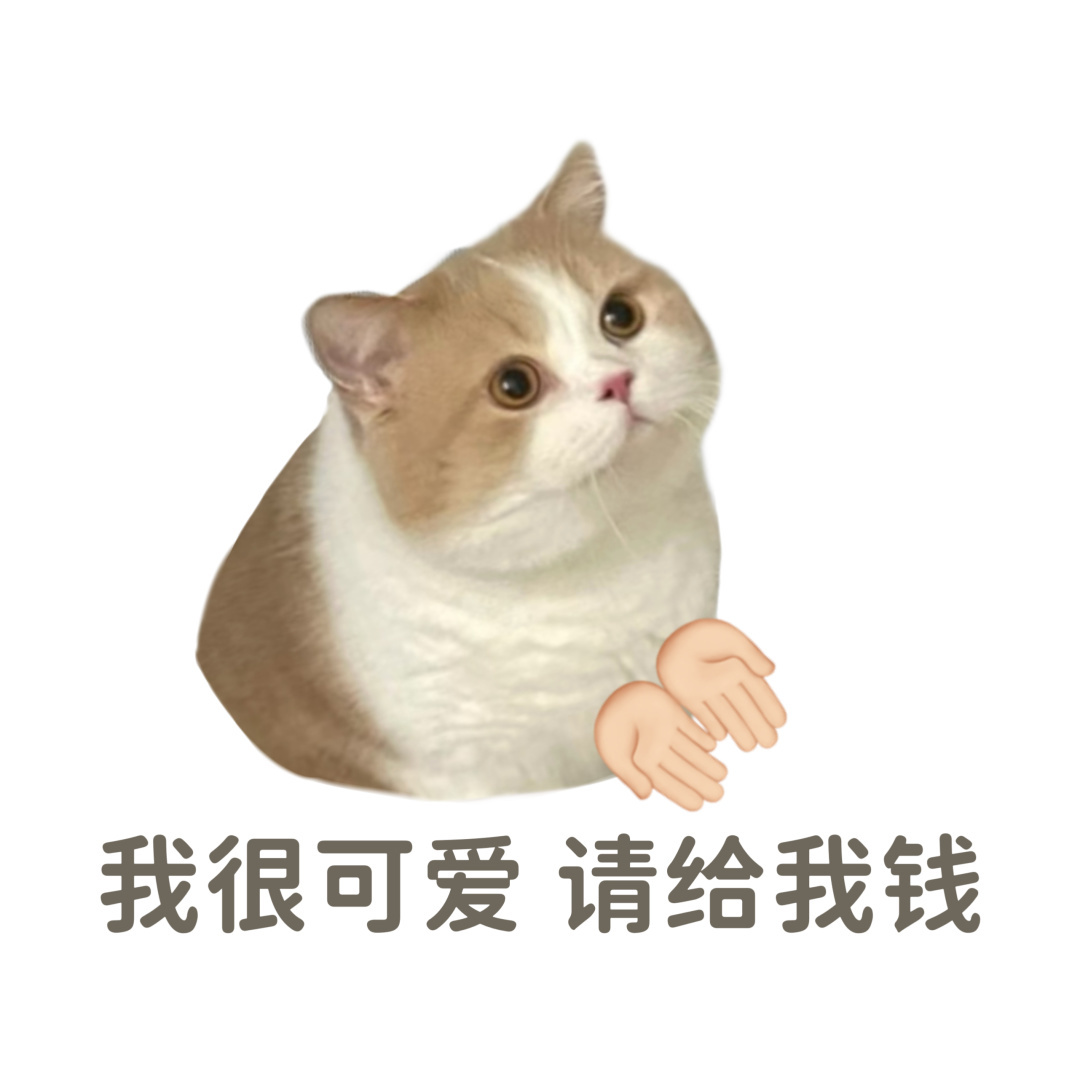 很实用的猫猫过年表情包 