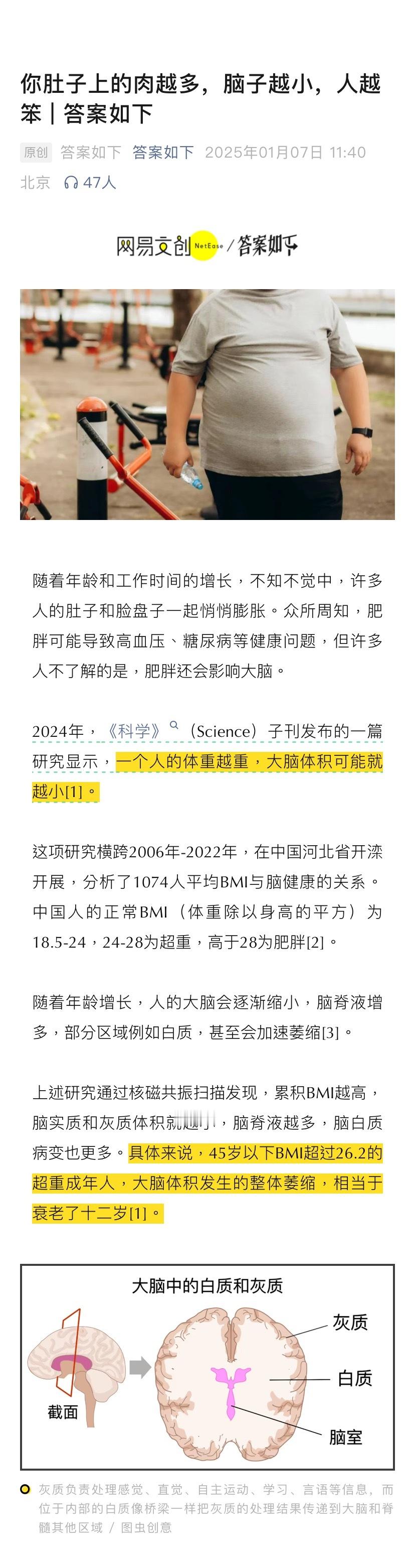 原来肥胖真的会让人变笨  随着年龄和工作时间的增长，不知不觉中，许多人的肚子和脸