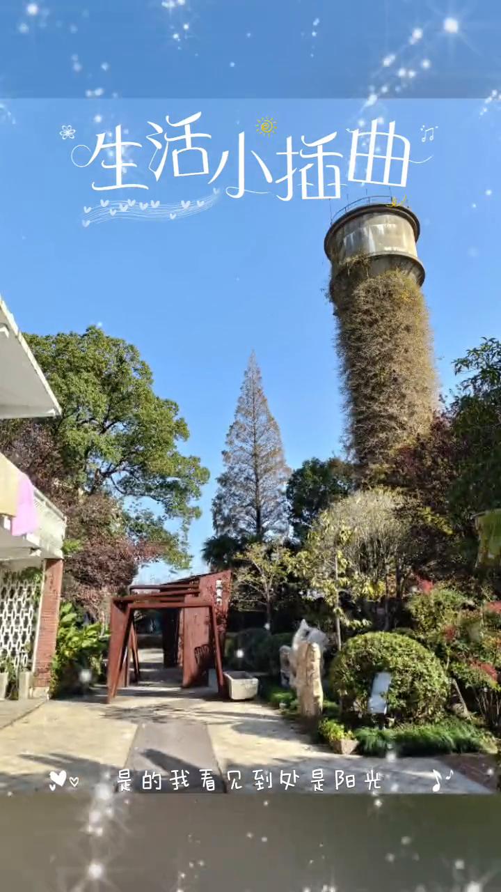 生活小插曲。
是的，我看见到处是阳光，快乐在城市上空飘扬，新世纪来得像梦一样，让