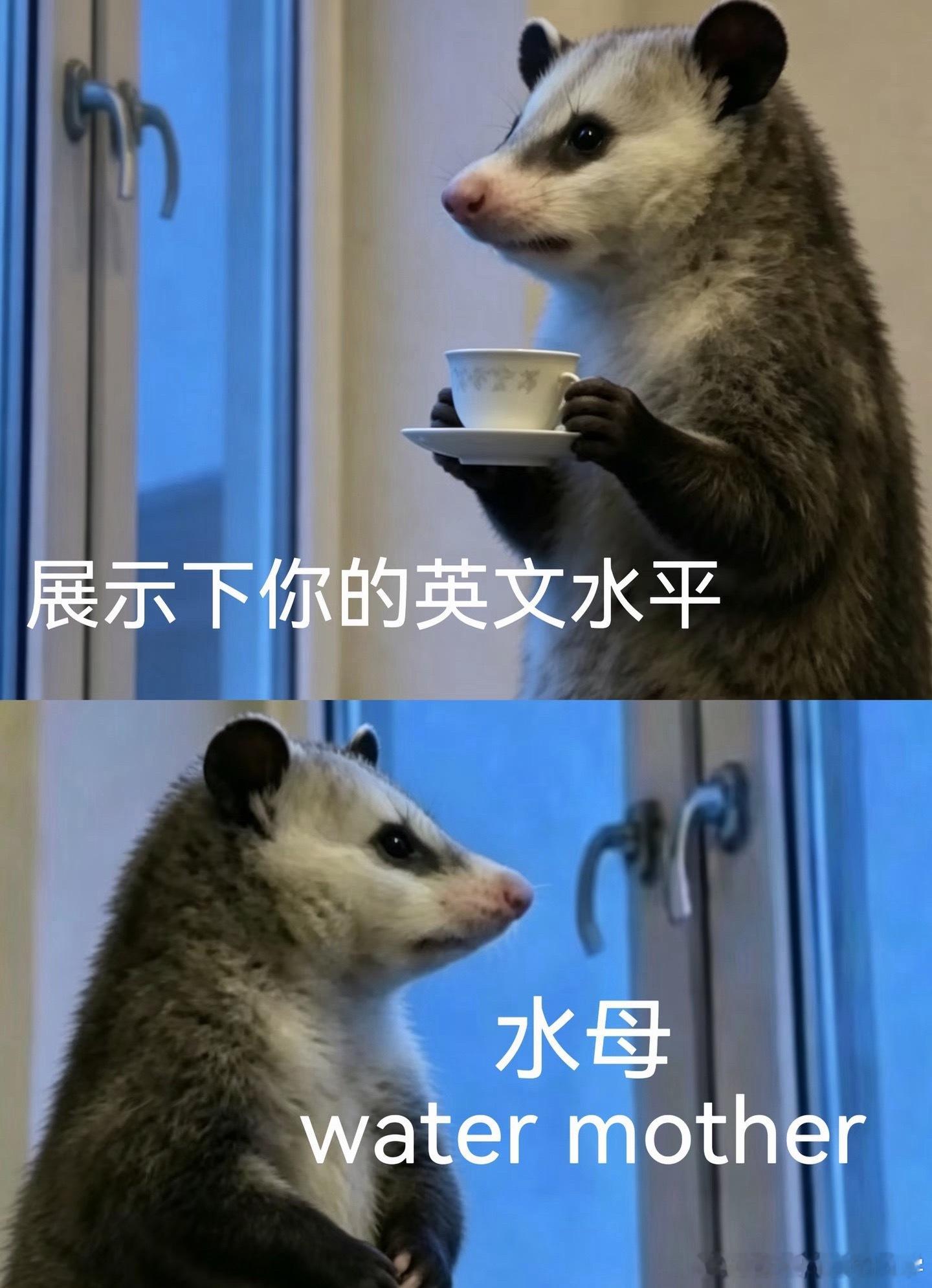 如果水母是 water Mather ，那贵宾犬就是 VIP dog 呗？ 