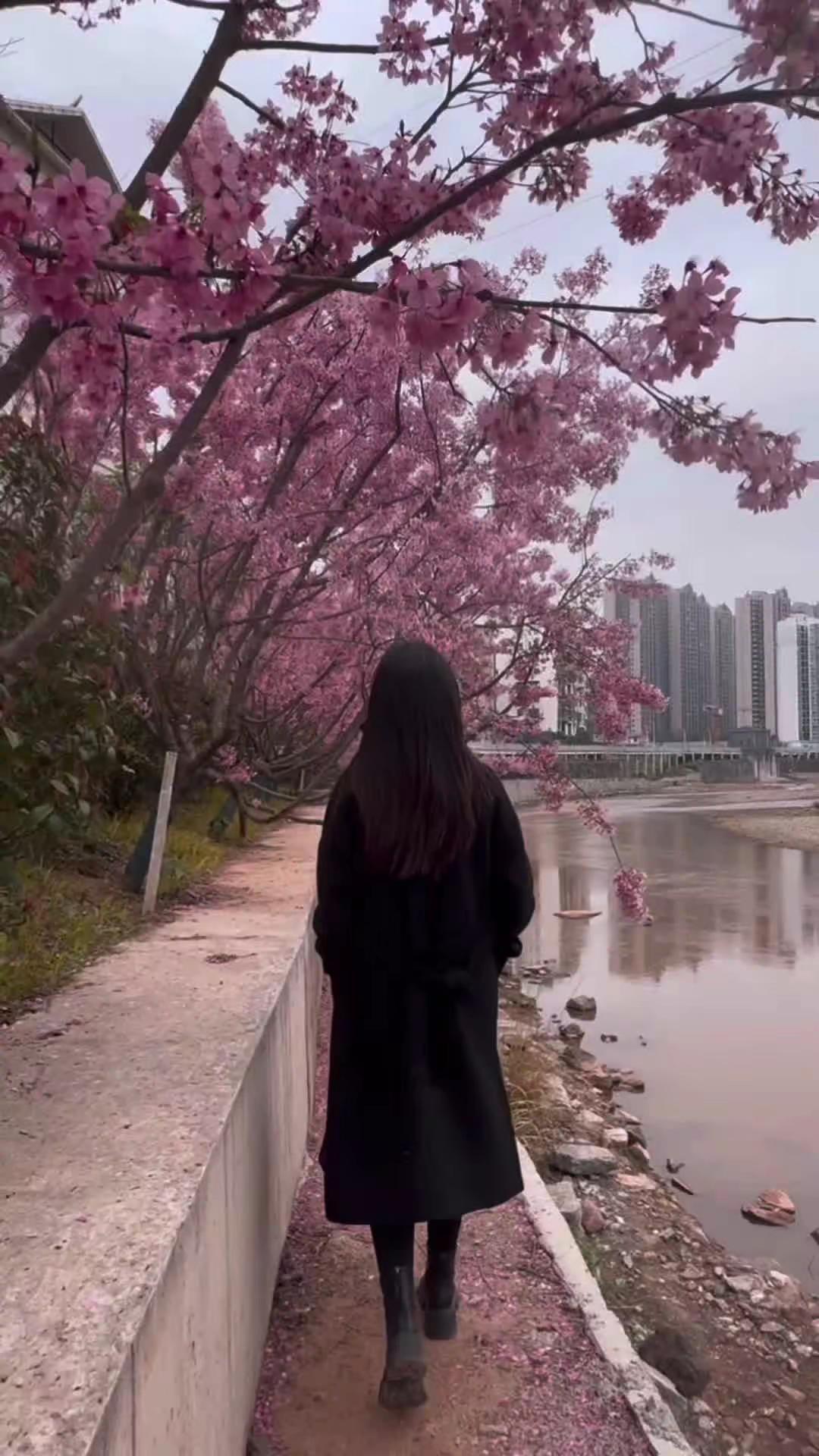 你刚好盛开，我恰好路过，你赠我满心欢喜，我记录你的美丽在自然里chill一下 春