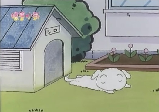 小白日常 