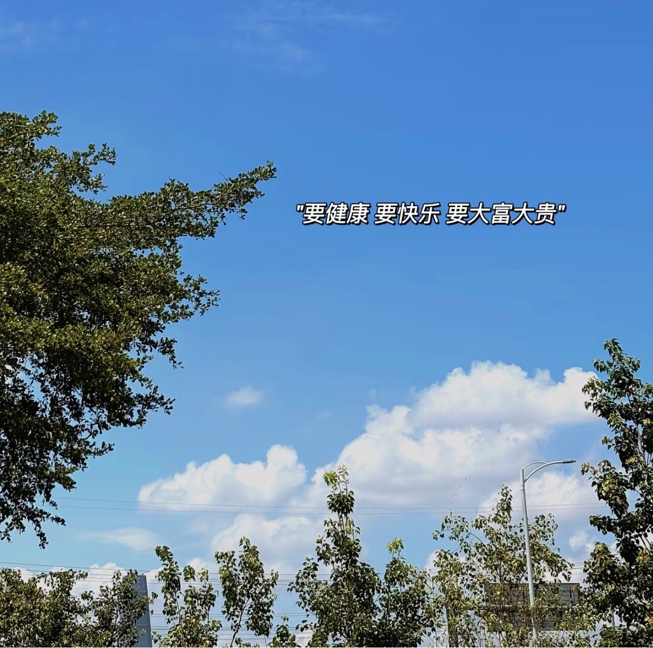 ᵕ˙ ⌇🪴好好爱自己文案 ⁺¹ºº🩵ˇ❶²⁰²⁶ 🎈𝗟𝗶𝗳𝗲 ᵕ̈