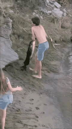鱼：既然你无情，就别怪我无义