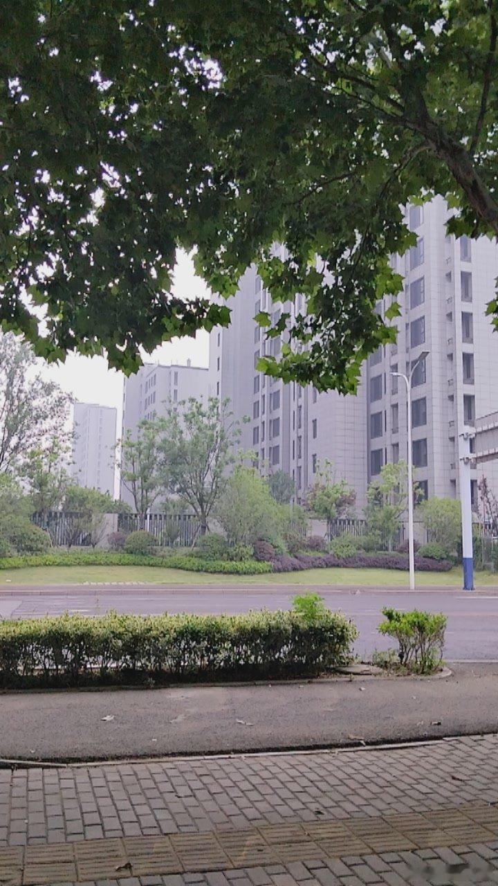 你不需要变得很厉害才开始，你需要开始才能变得很厉害。周四早安！