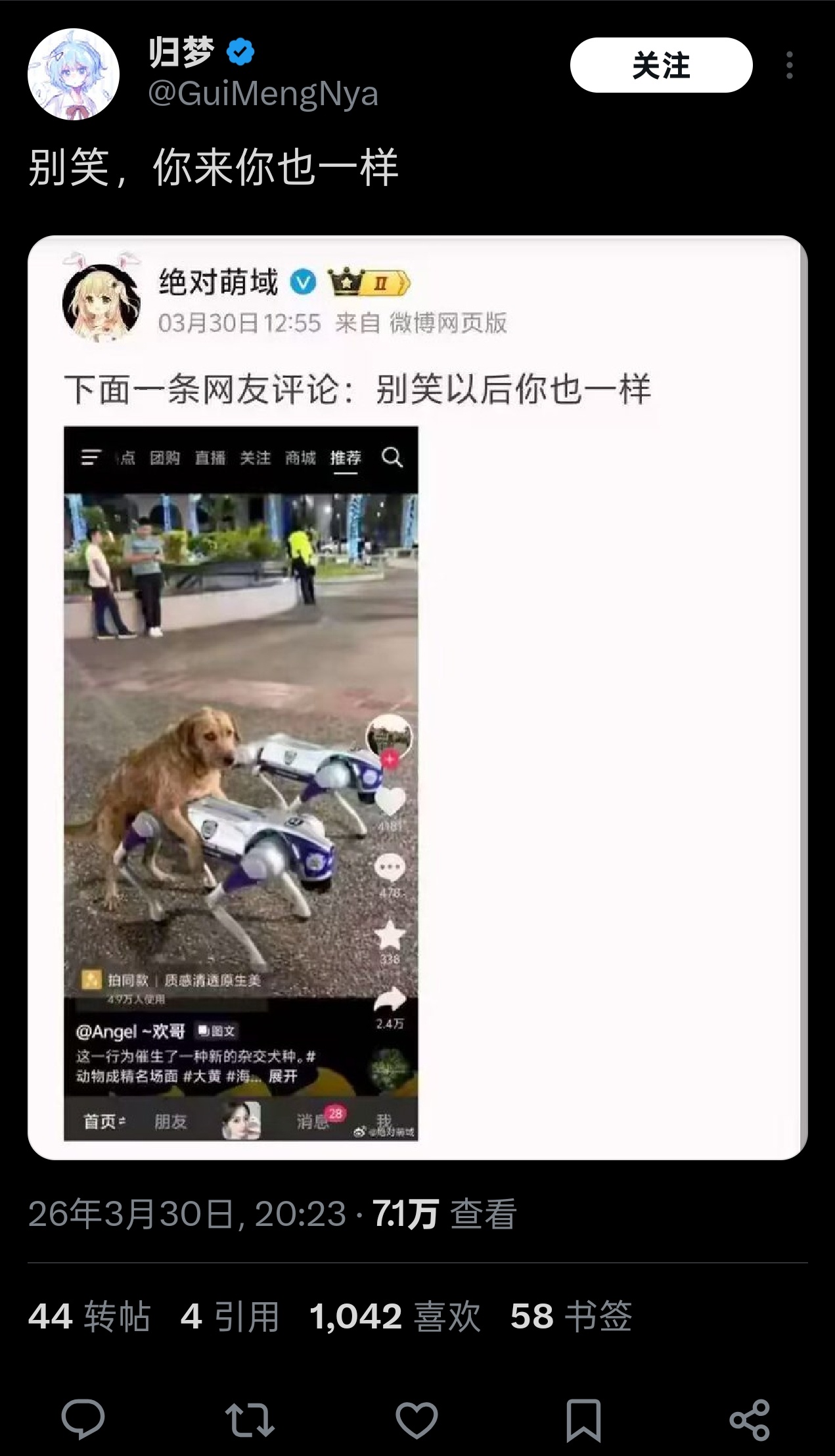 出口转内销 狗狗率先学会了AI时代的玩法 烽火问鼎计划