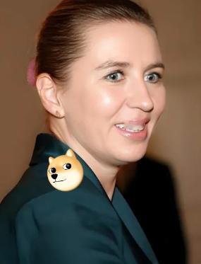 现在的丹麦都快成了国际小丑了，因为他对美国施行的两个政策都让人笑掉大牙。
 
第