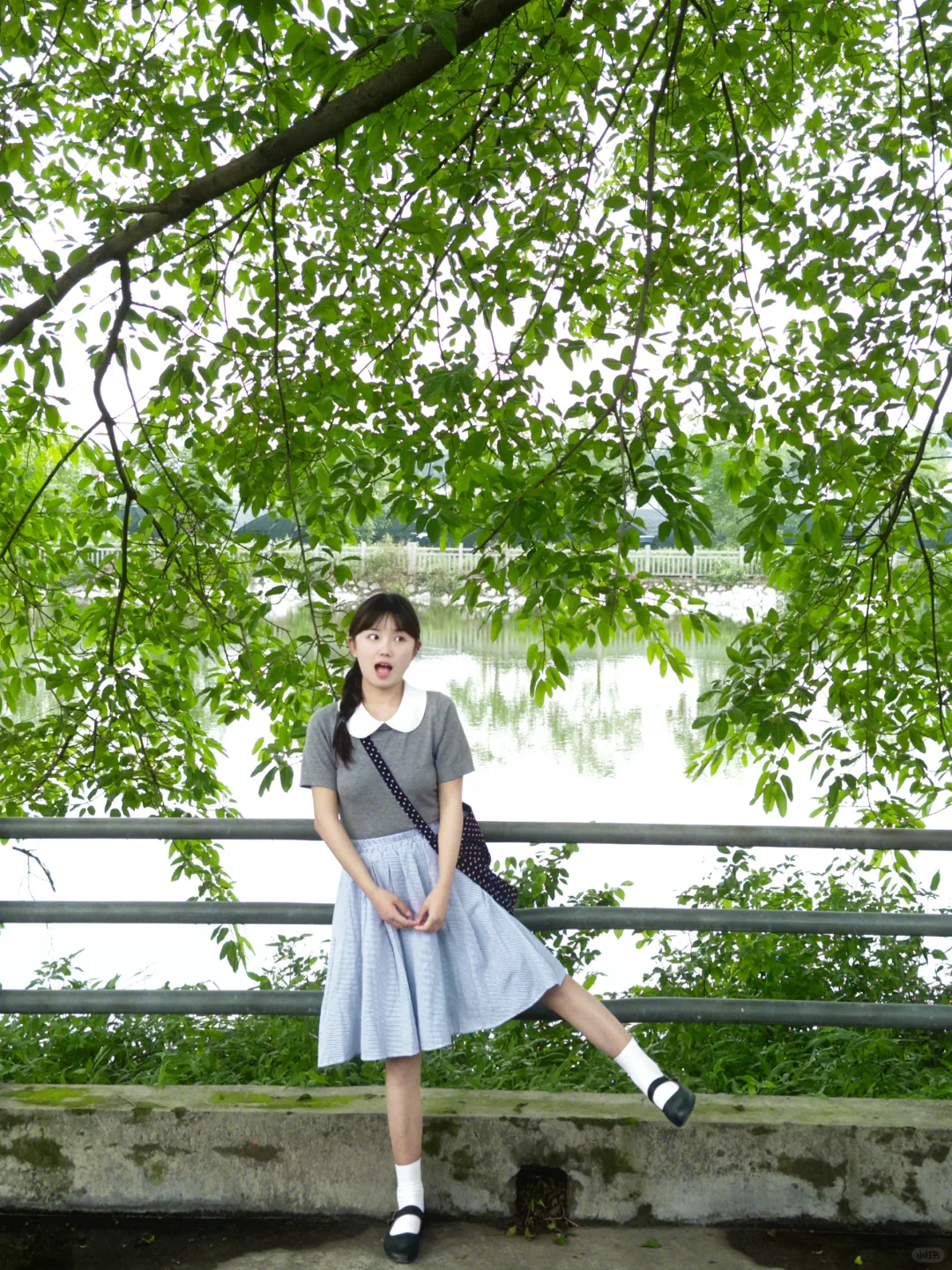 这个滤镜好好看！🍃