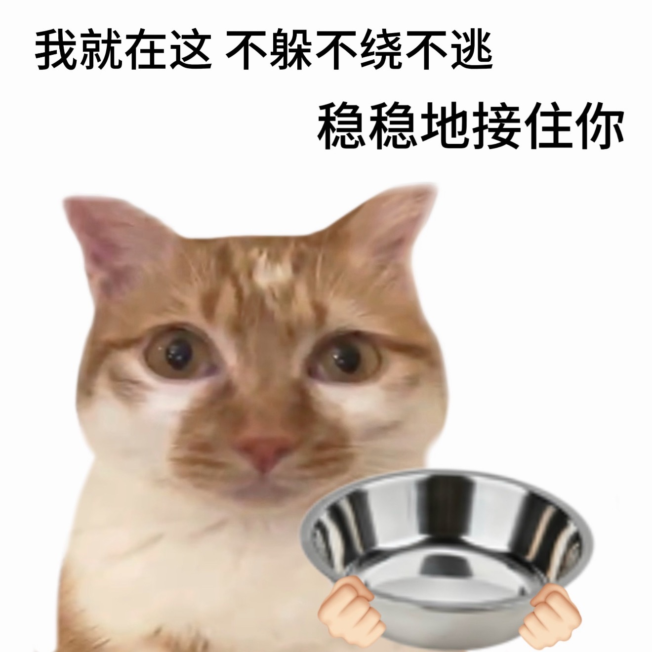 工资高但是很孤独的工作哪个i人许愿成功了，闺蜜，这不就是你要的工资高，没有勾心斗