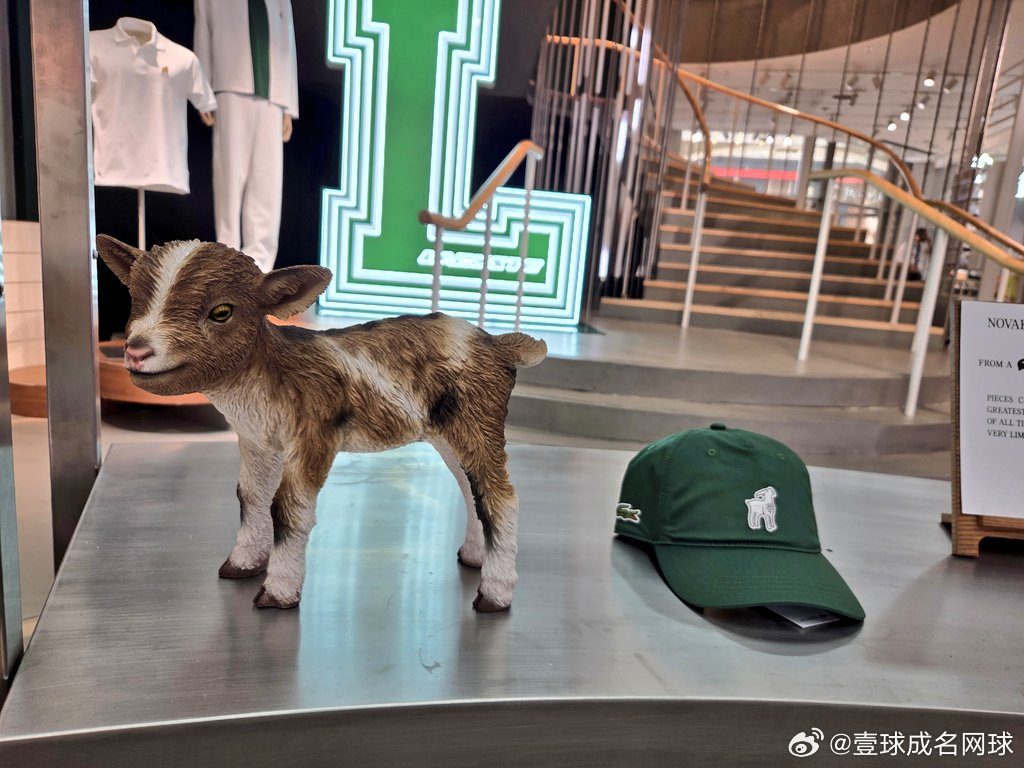 伦敦摄政街的 GOAT Lacoste 专卖店！德约大概是所有体育运动项目现役运