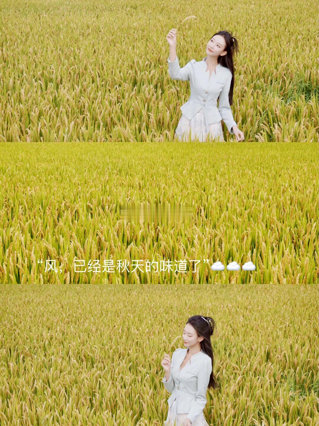 江浙沪周末一日游｜嘉善大云旅游度假区