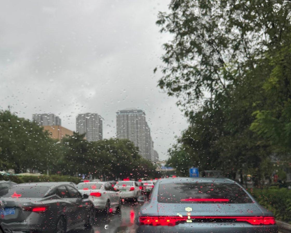 刚出来一会又是下雨下午和陈总交流交流，他邀请我去他家的海鲜市场看看，顺便给我搞几