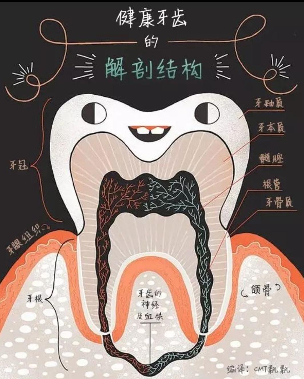 好好刷牙还能帮助降血压？想不到吧，好好刷牙，还有意外的惊喜，就是可以帮助控制血压