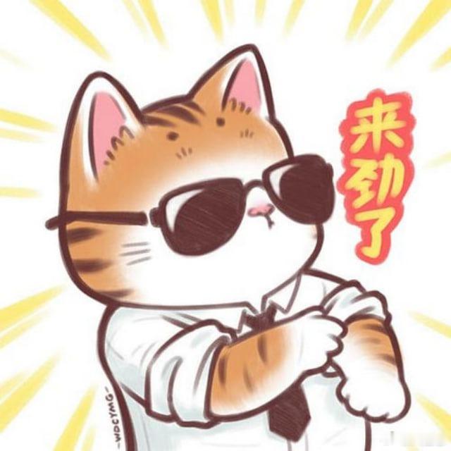 揭幕战没带兄弟们吃好，这锅老八背着！一城一地的得失，动摇不了老八分毫。但该认的错